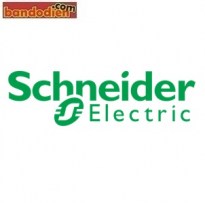 dong-ho-schneider-schneider