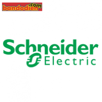schneider-thiet-bi-dong-cat